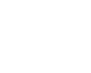 Sponsor 91