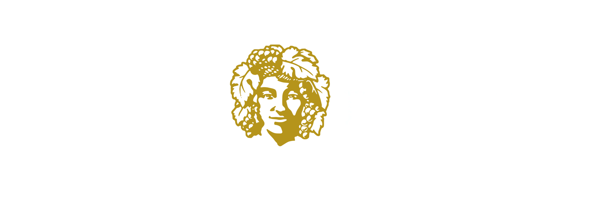 Sponsor 66