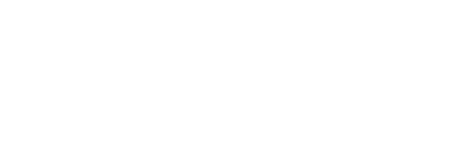 Sponsor 55